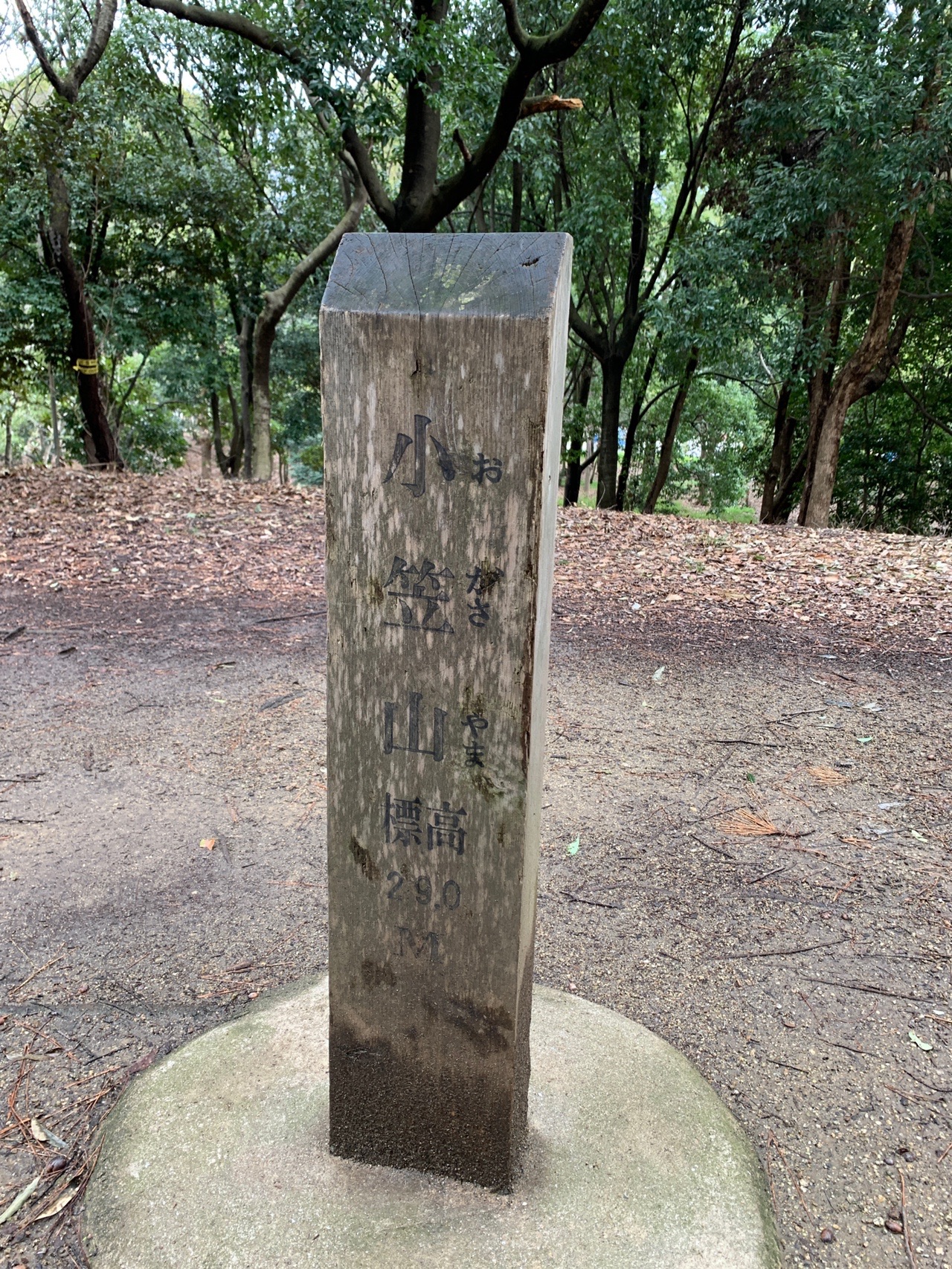 「小笠山 標高29.0M」と彫られた木の標柱。まわりは平らな地面と木立