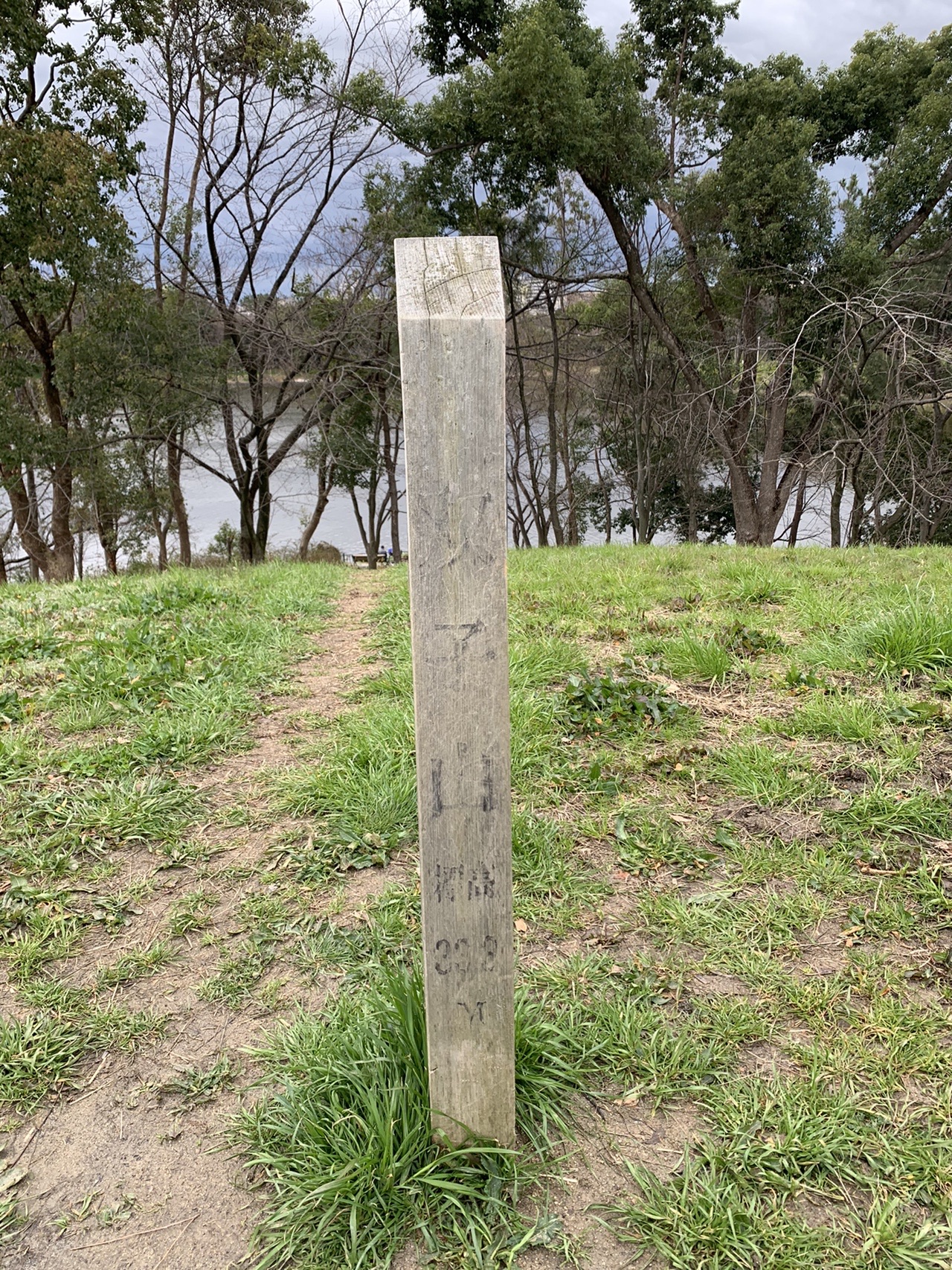 「双子山 標高33.0M」と彫られた木の標柱。草地に立っていて、奥に池と木立