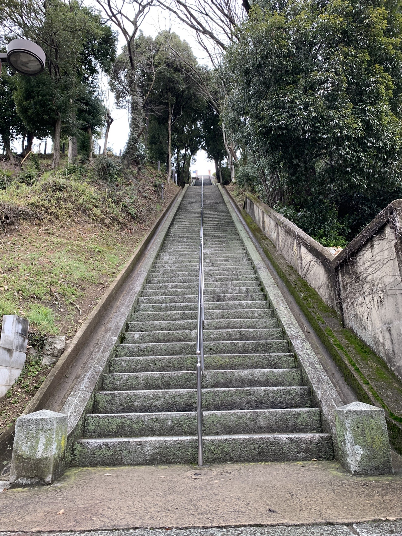 石垣に挟まれてまっすぐ上へ伸びる長い階段。上の方は木立に隠れて見えない