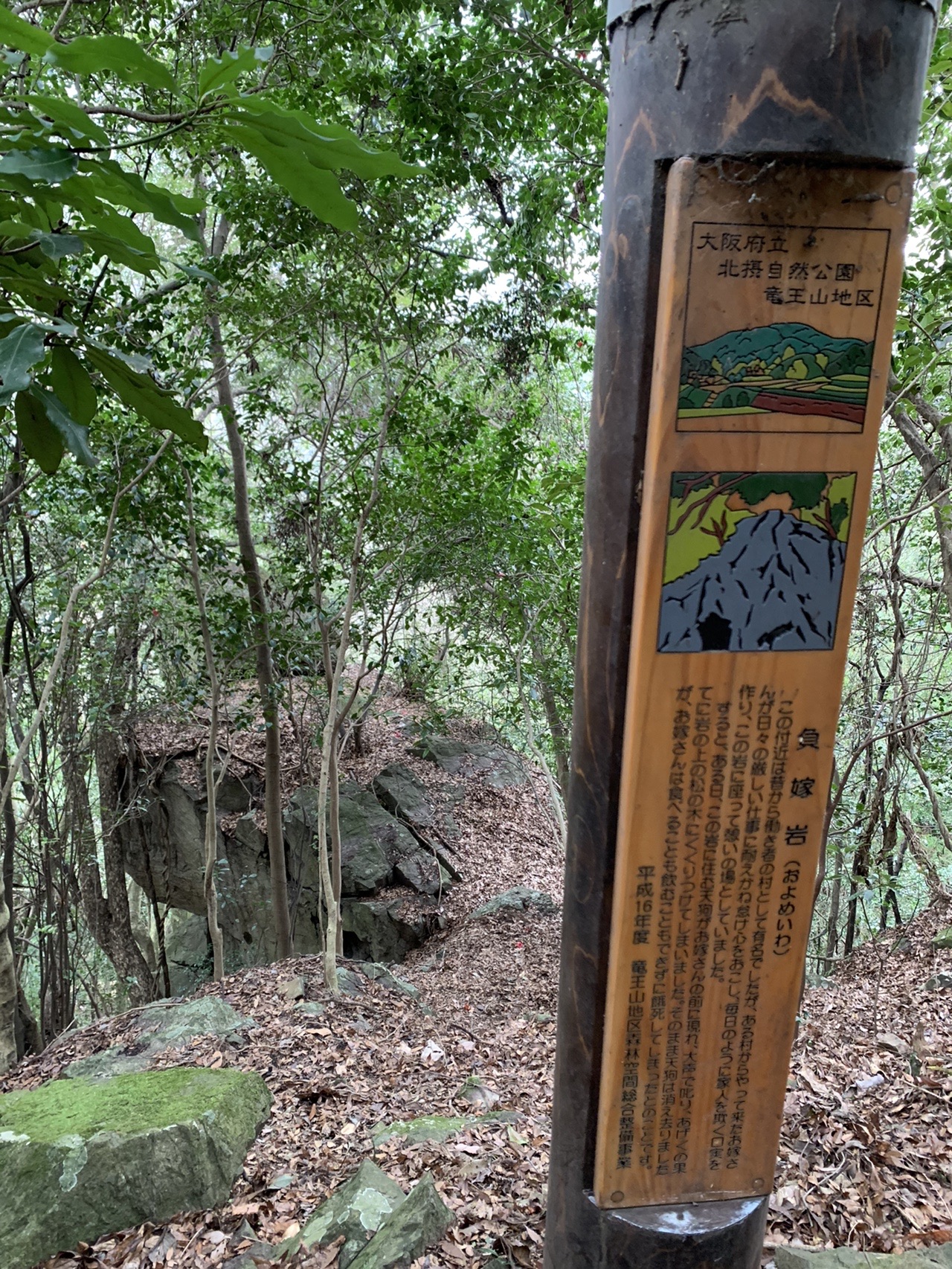 道の脇にある大きな岩と、その手前に立つ木の説明柱