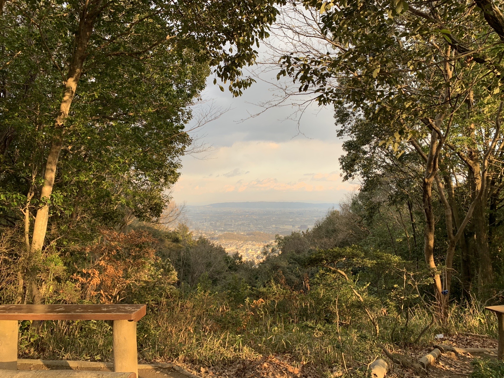 木々のあいだから見える夕方の空と山並み。枝が額縁のように景色を囲んでいる