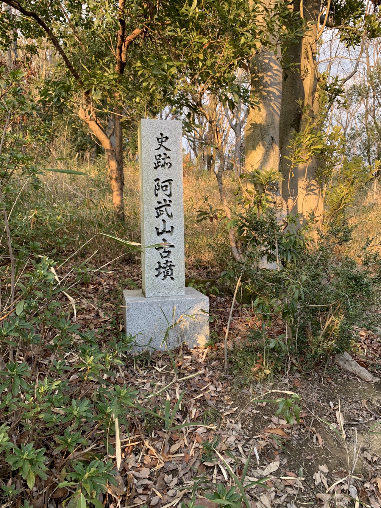 「史跡 阿武山古墳」と刻まれた石標。夕方の光が斜めに当たっている