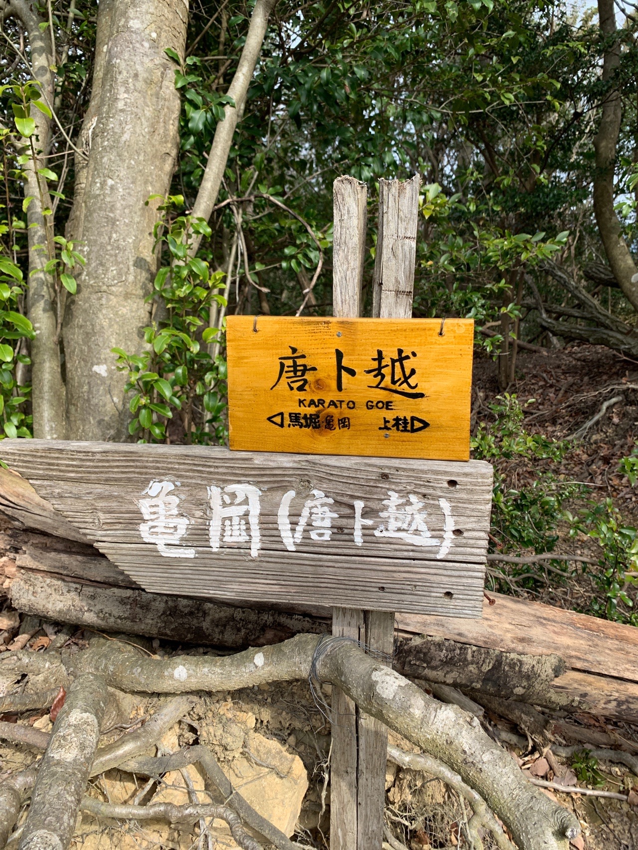 木の道標。「亀岡［唐櫃越］」と書かれた板と、オレンジ色の案内板が並んでいる