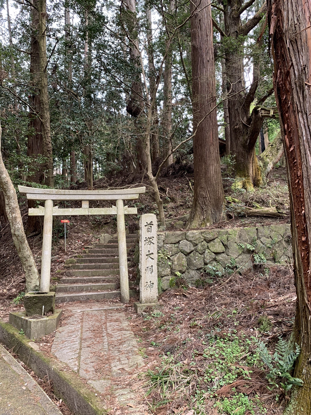 石段の上に立つ小さな鳥居。奥の木立の中に社が見える