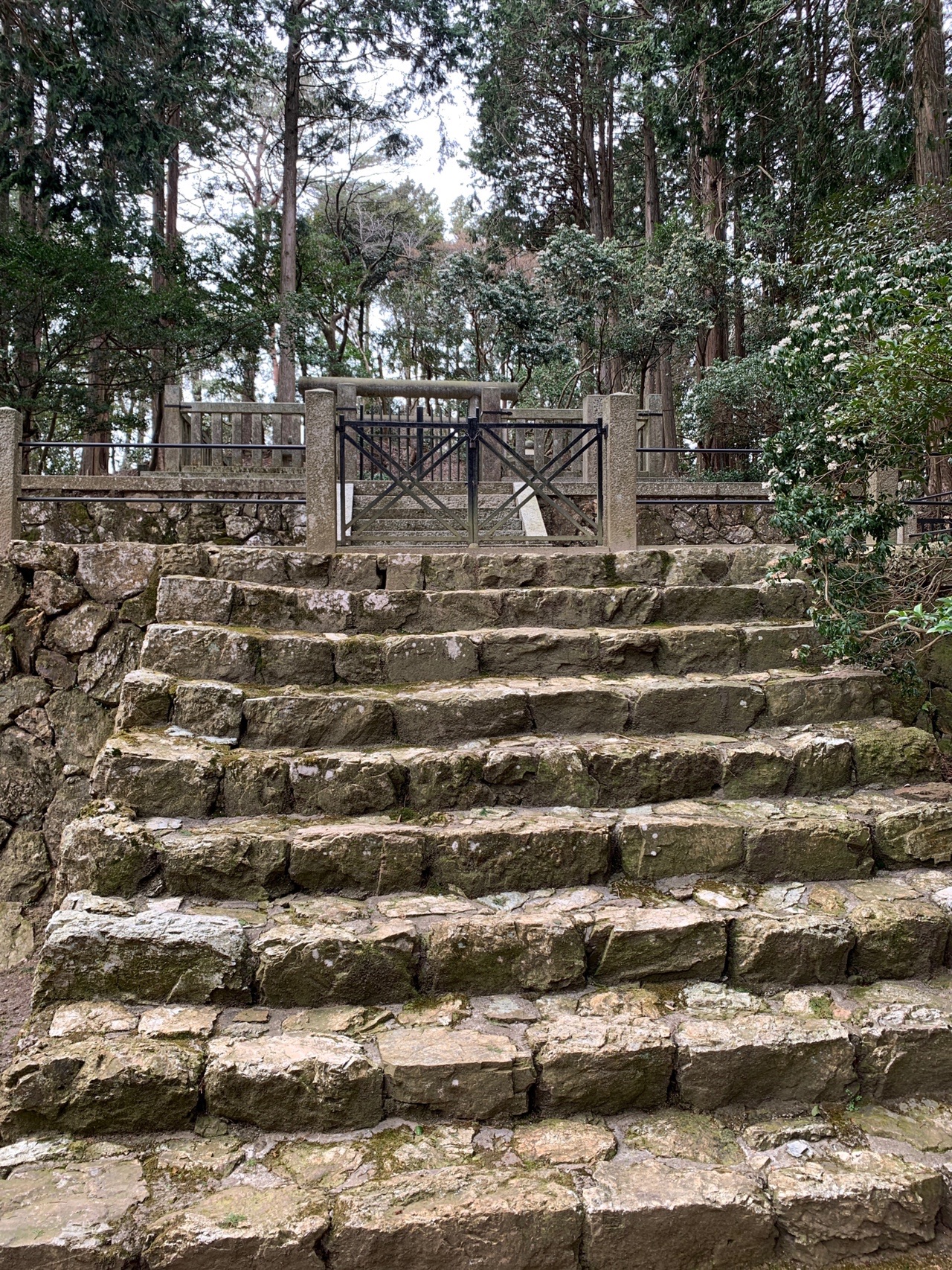 山中に続く古い石段。両側に石の柵があり、上へ登っていく