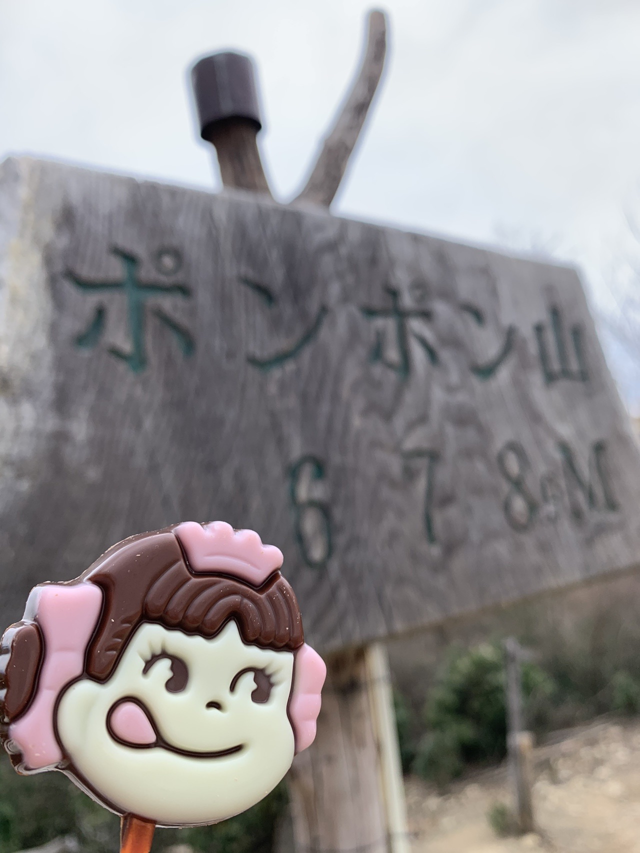 ポンポン山の木の山頂標。標高678.9mの表示と、ペコちゃんの人形が置かれている