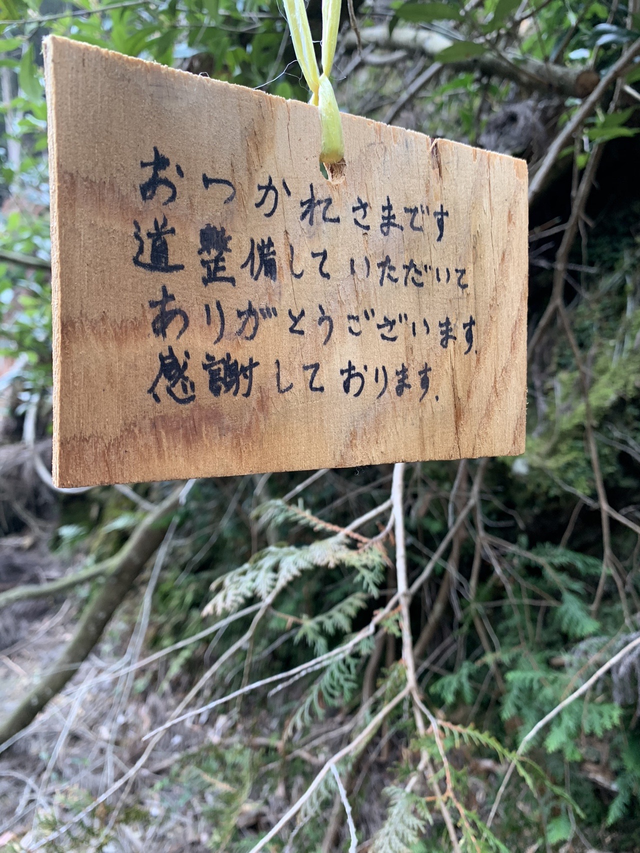 木の枝に下げられた手書きの木札。「おつかれさまです 道整備していただいてありがとうございます 感謝しております」と書かれている