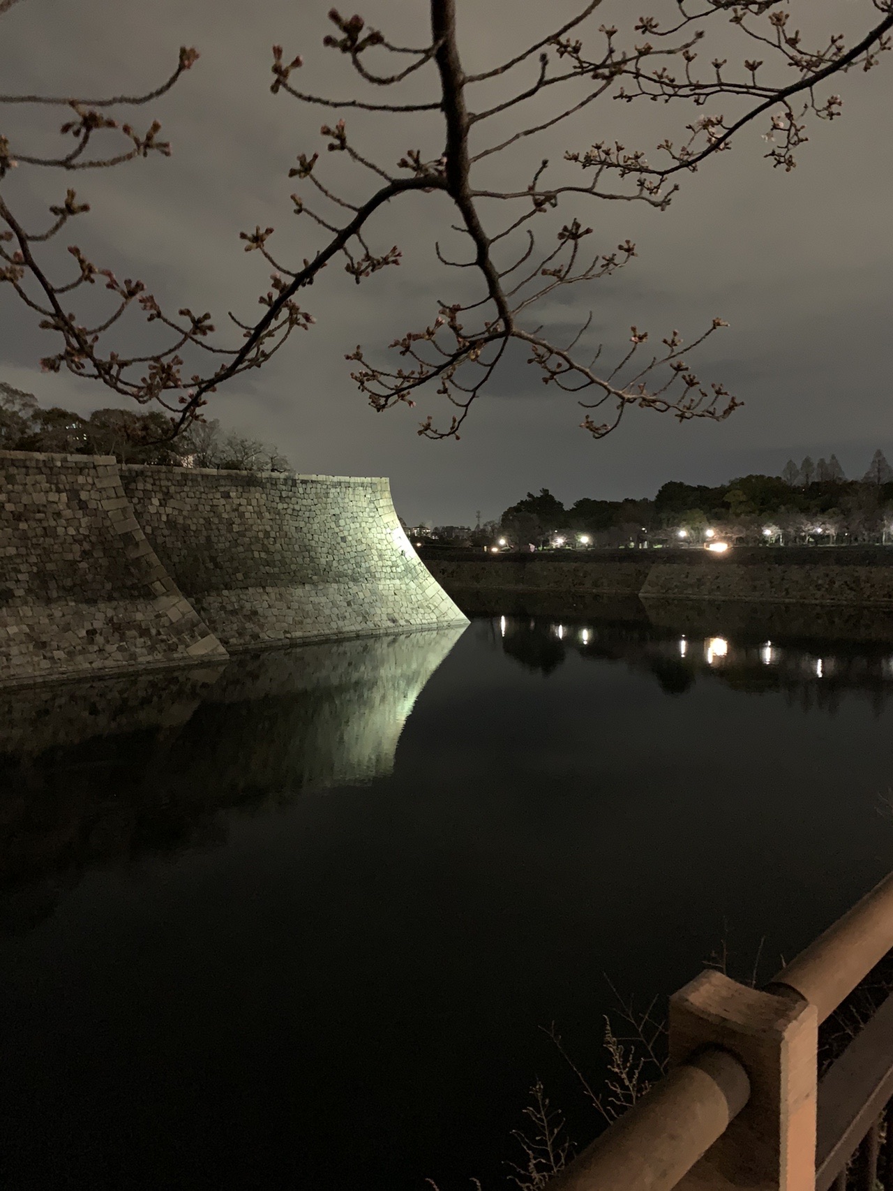 夜の内堀。石垣の斜面が水面に映り込み、稜線のように見える。手前につぼみの桜の枝