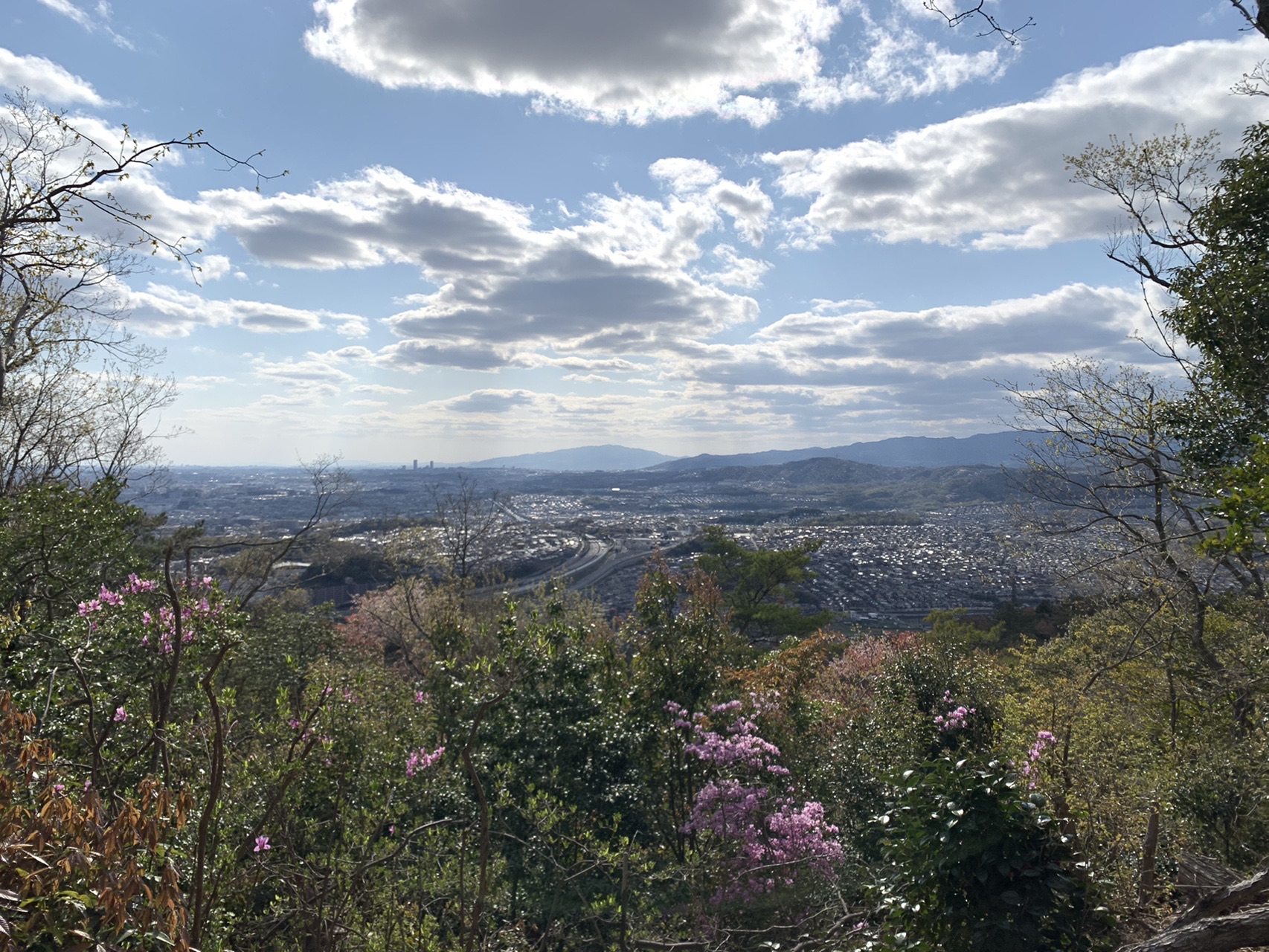 斜面の広場から見下ろす街並み。手前にツツジ、遠くに山並みと雲の多い空