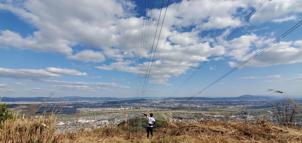 草の斜面の先に大阪平野が広がる。空に鉄塔と送電線が何本も走っている