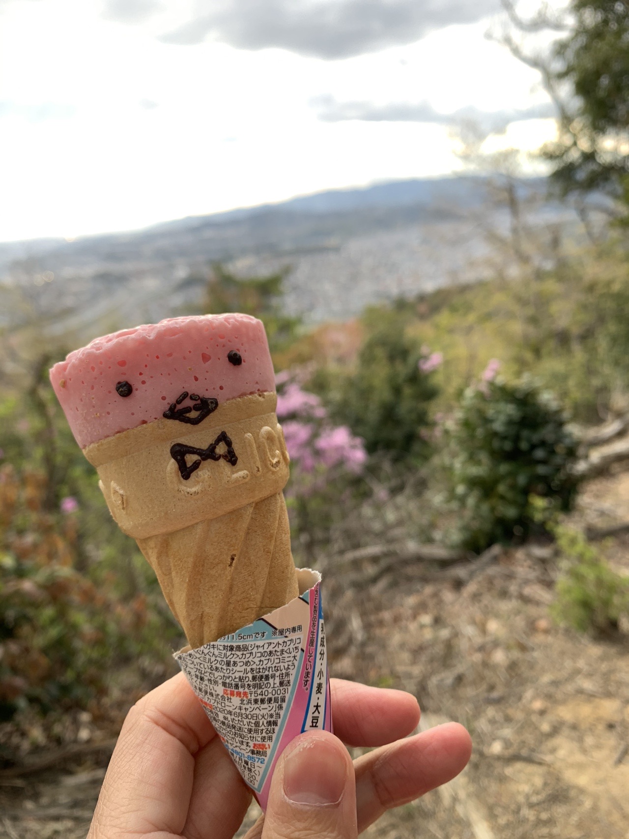 手に持った三色団子。ピンク、白、緑の順に串に刺さっている。背景は街の眺め
