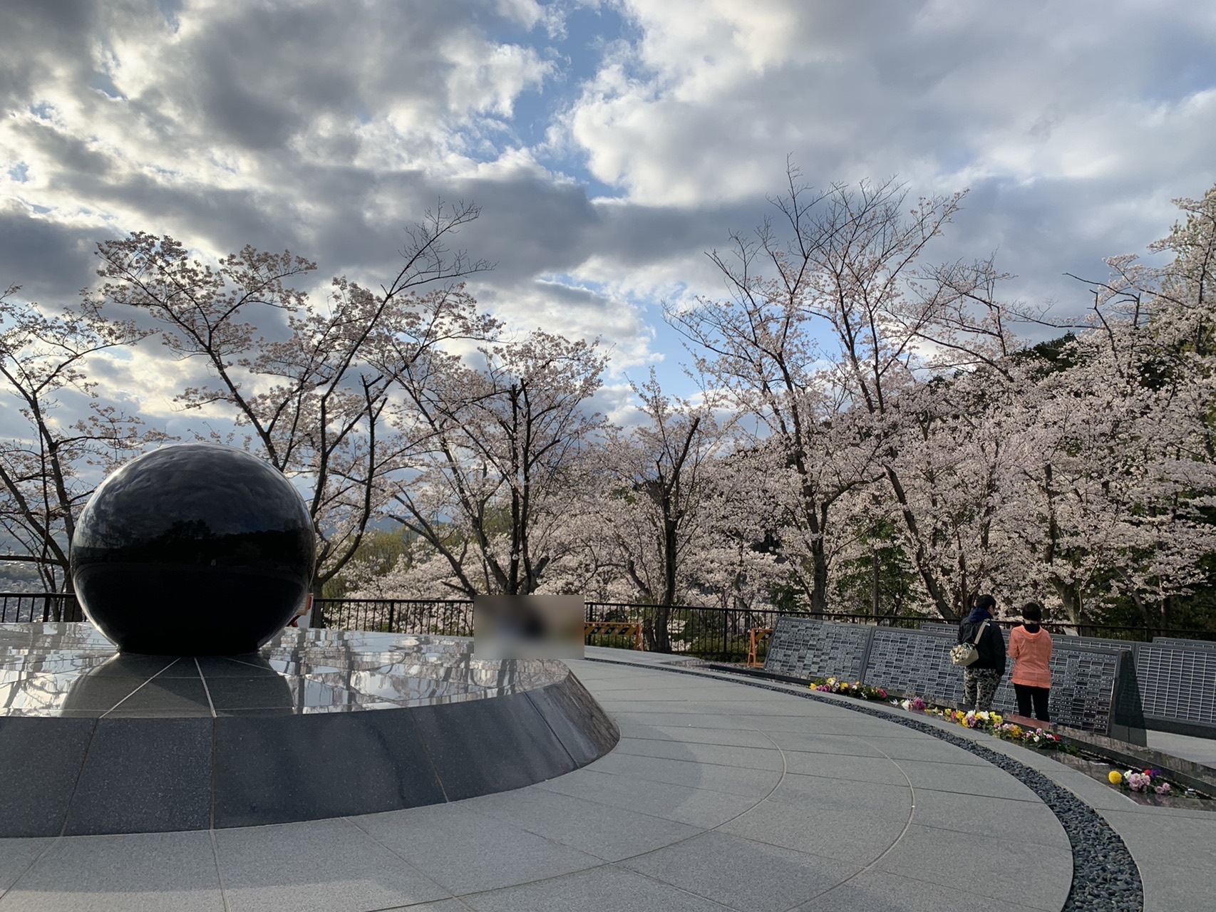 公園墓地の展望広場。曲線を描く石張りの園路の両側に桜が満開で咲いている