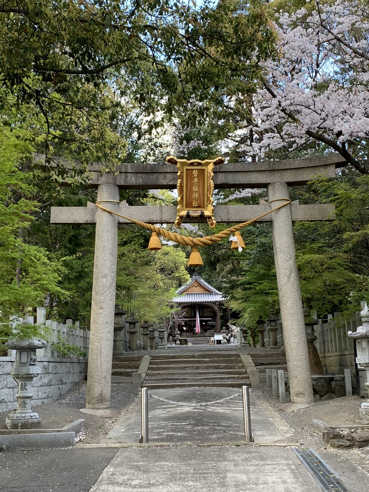 石の鳥居と、その奥に続く石段と社殿。鳥居に金色の扁額と注連縄がかかっている