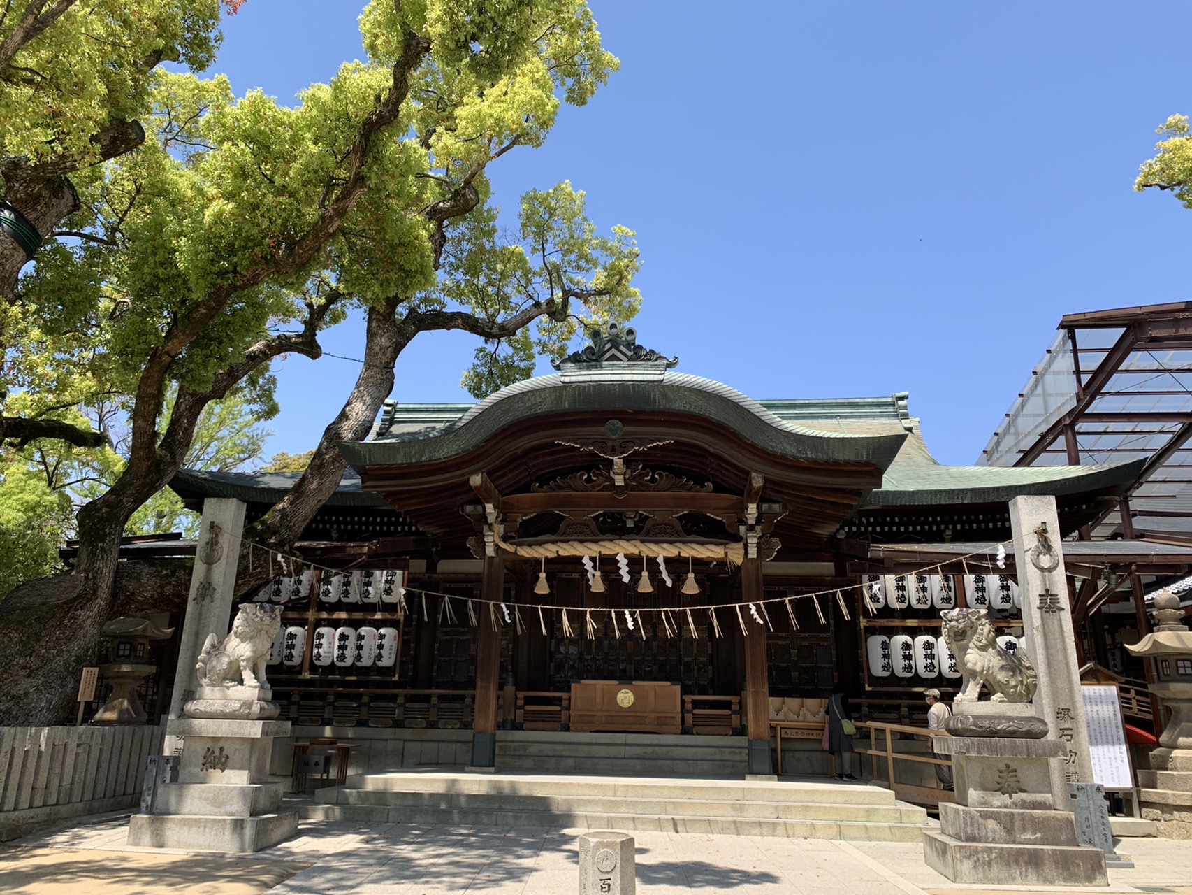 石切劔箭神社の社殿。しめ縄と提灯が並び、手前に狛犬と百度石が立っている