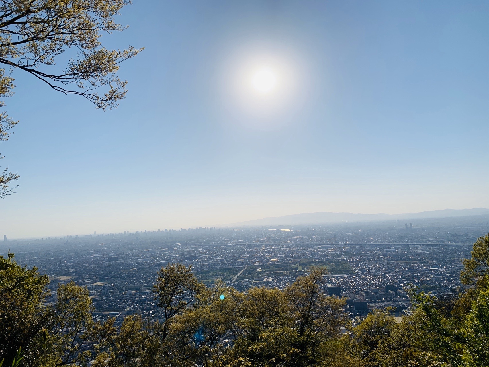 飯盛山の山頂からの眺め。手前に木々、その先に大阪平野が広がり、空に太陽が高い