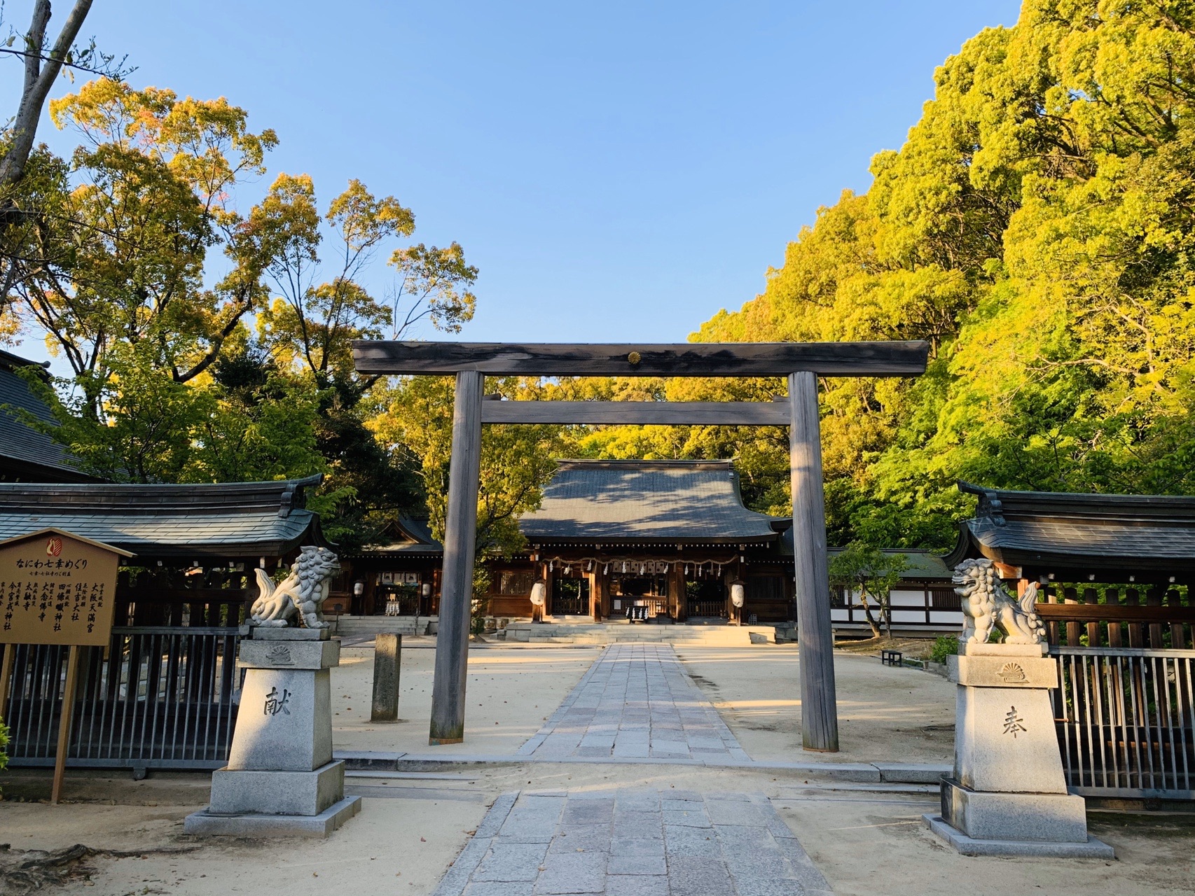 四條畷神社の鳥居と参道。奥に社殿が見え、夕方の光が木々に当たっている