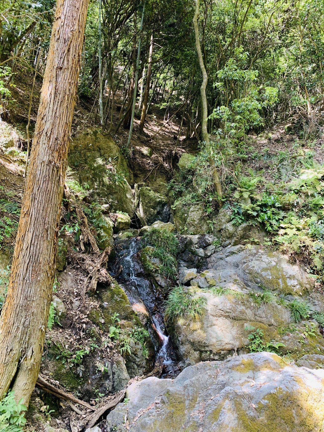 岩の間を細い水が流れ落ちている小さな滝。まわりの岩は苔むしている
