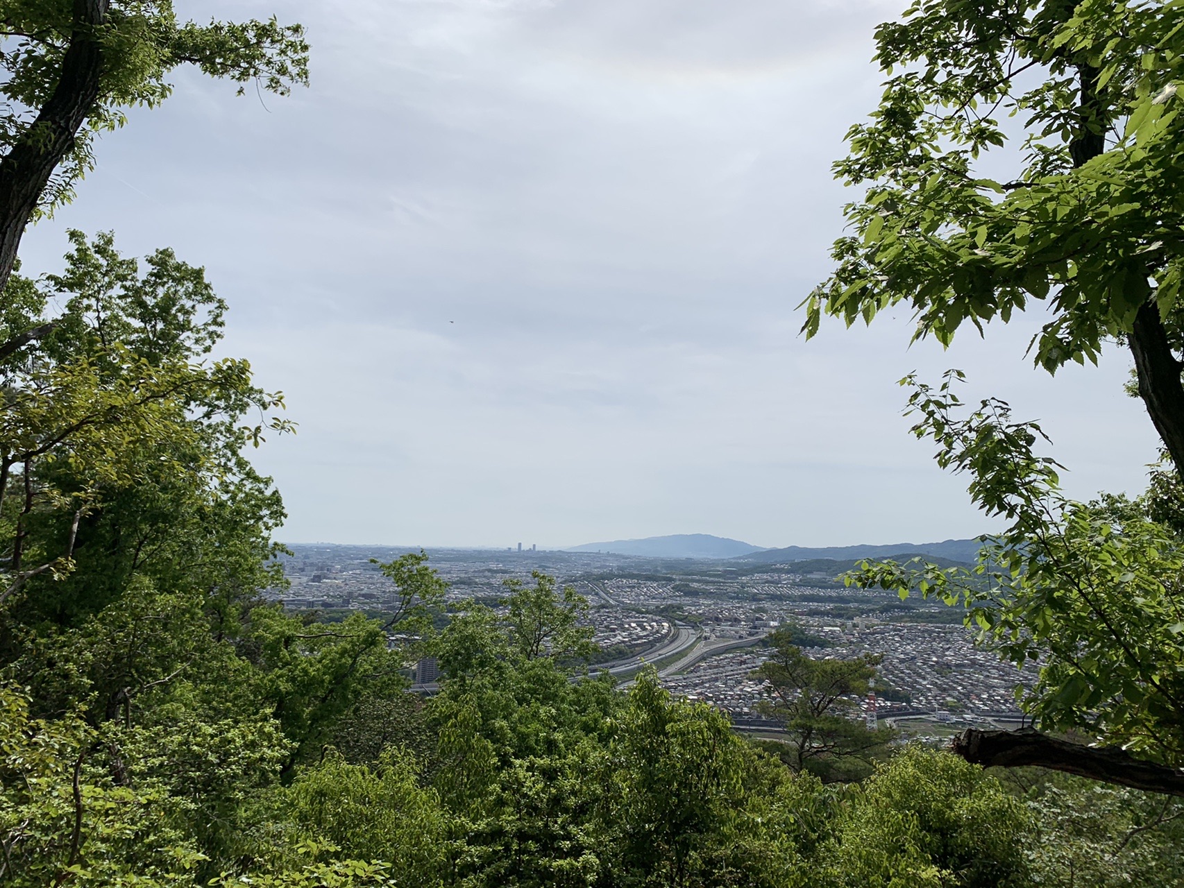 木々の間から高槻の市街地が見下ろせる展望。奥に山並みと空が広がる