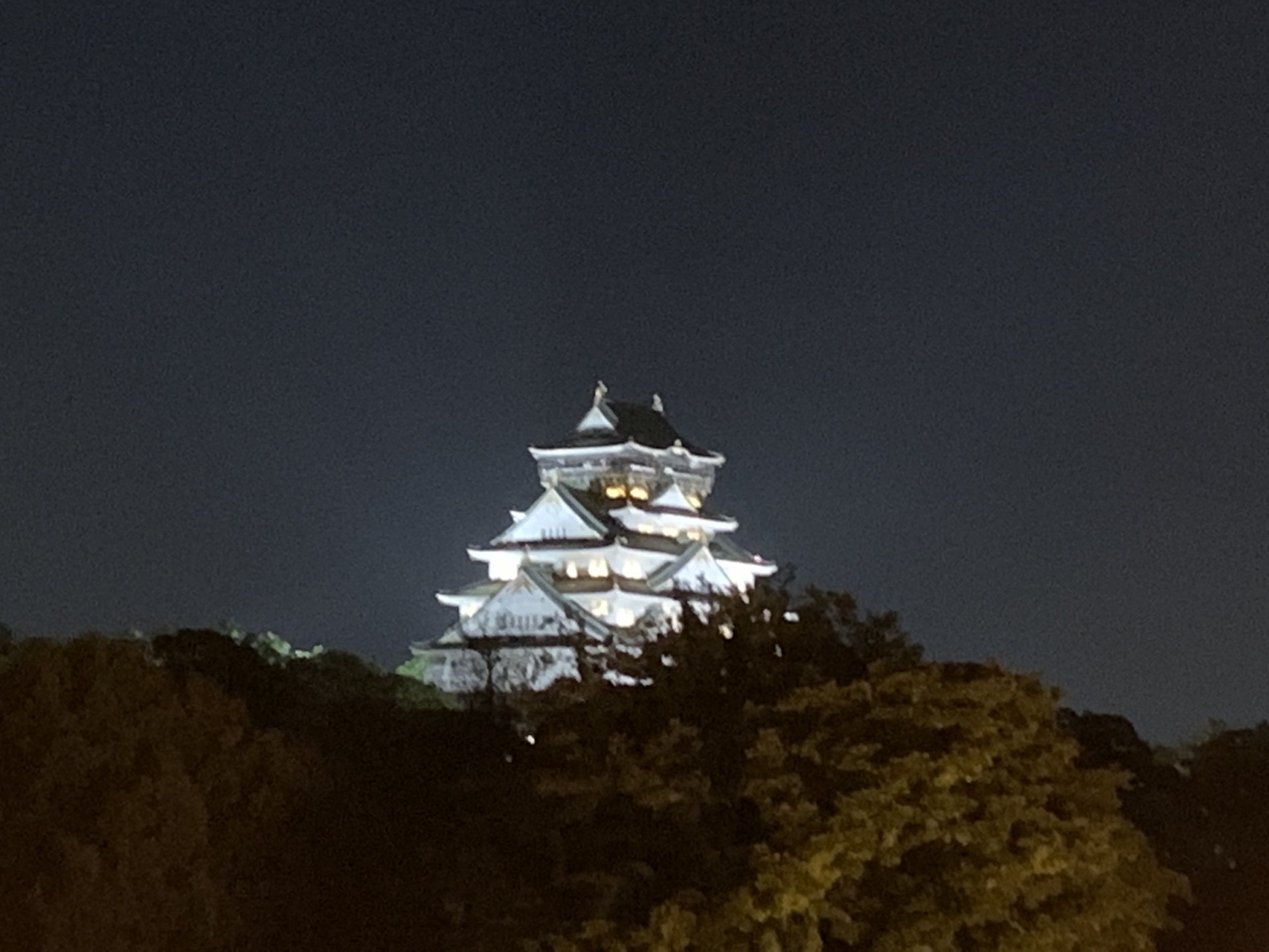 木々の向こうに白く浮かび上がる、ライトアップされた大阪城天守閣