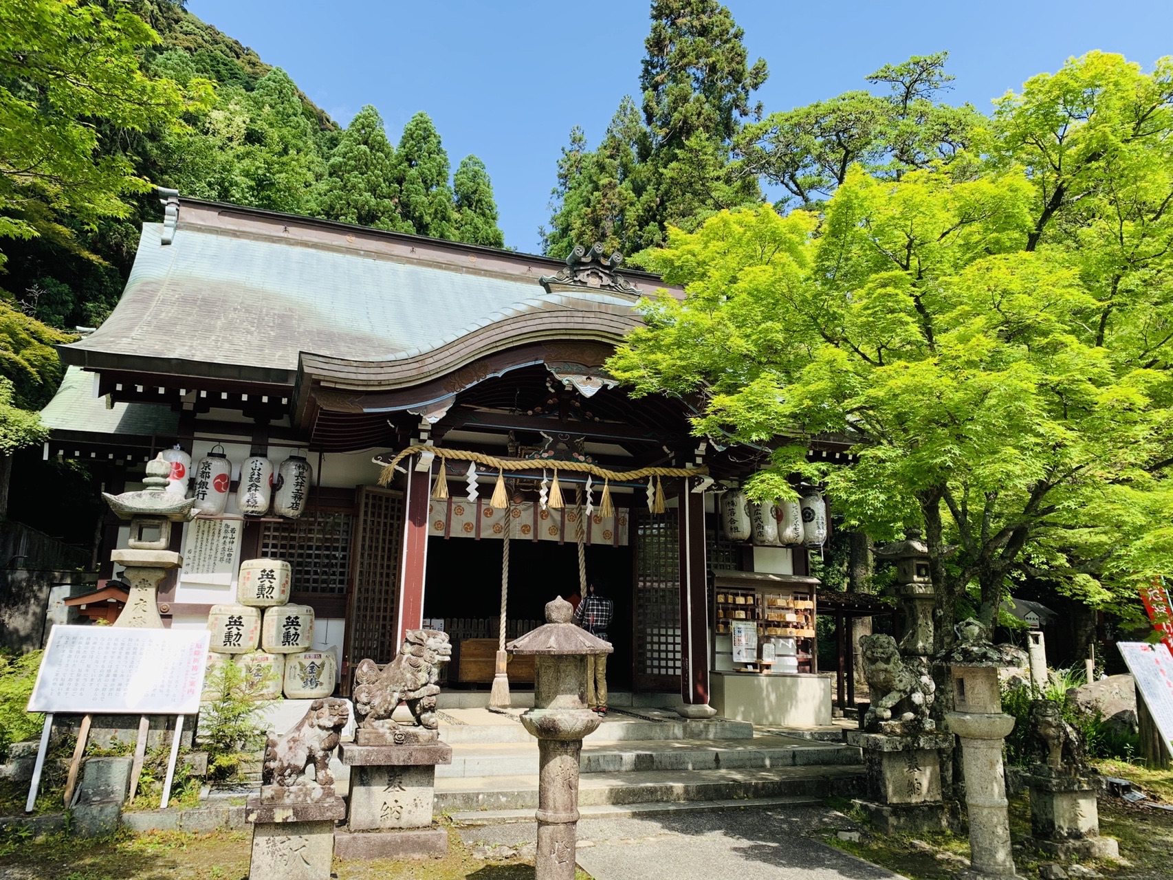 新緑に囲まれた若山神社の社殿と、参道の石灯籠