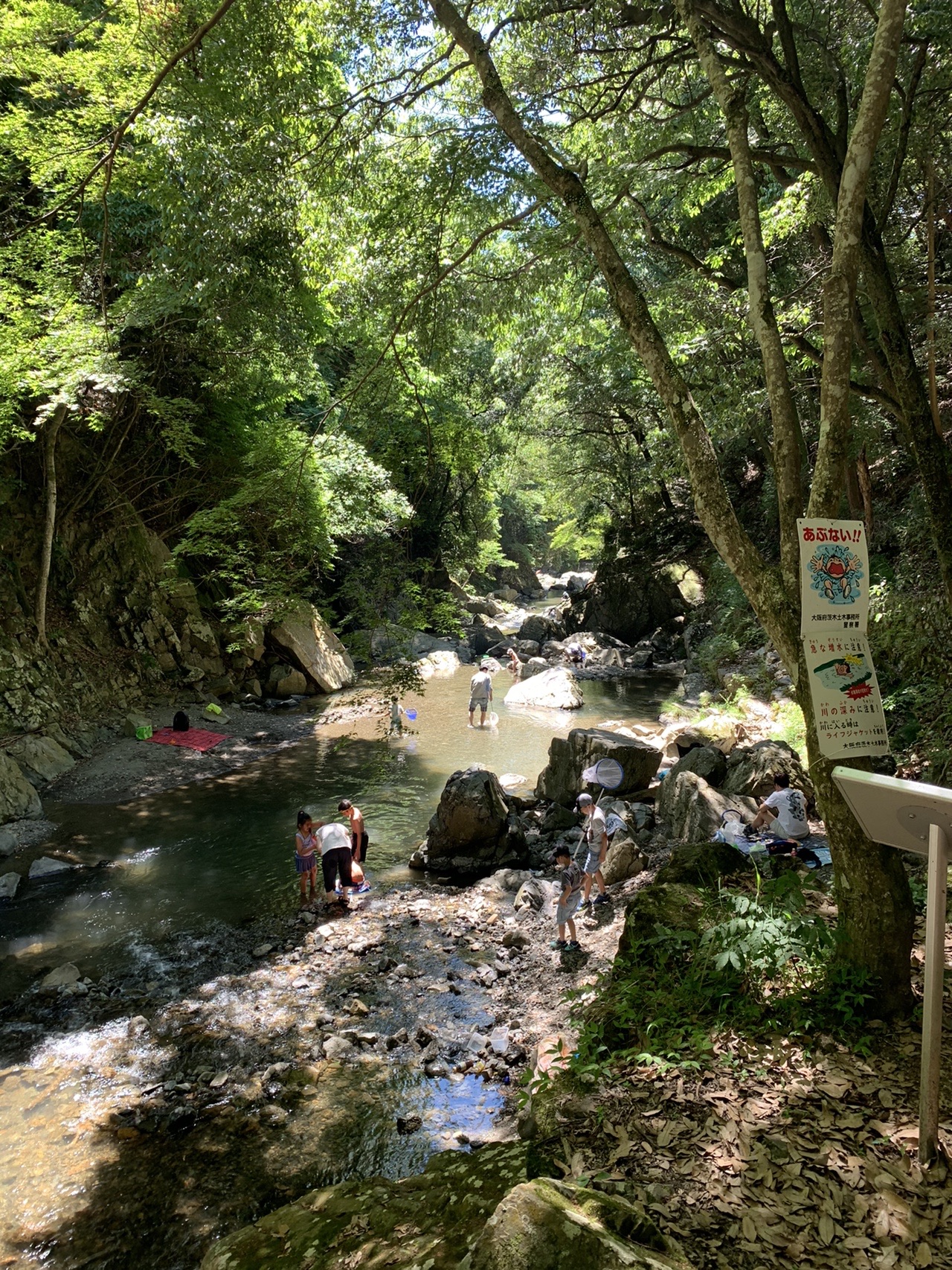 緑に囲まれた芥川の浅い流れと、河原に降りている人たち