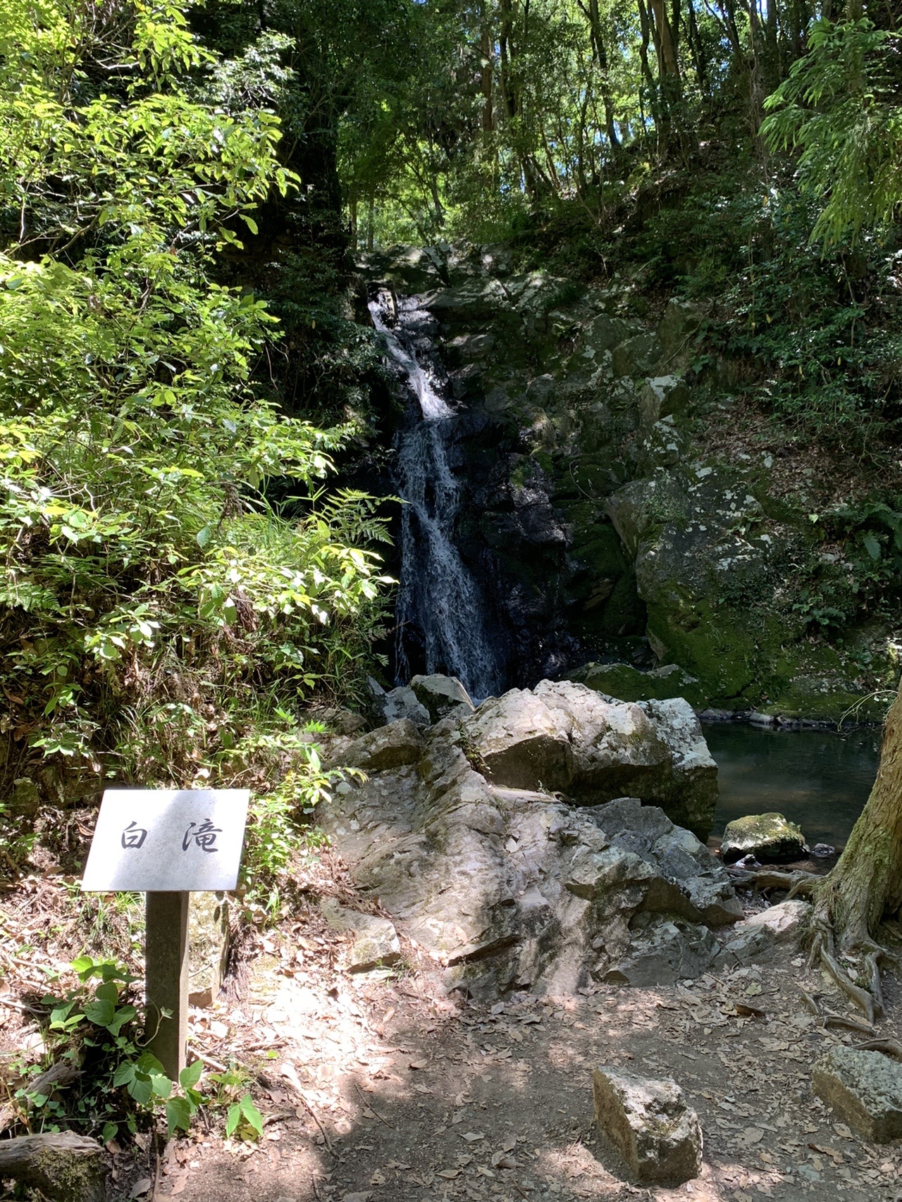 岩の間を細く落ちる白滝。まわりは濃い緑の木々に囲まれている