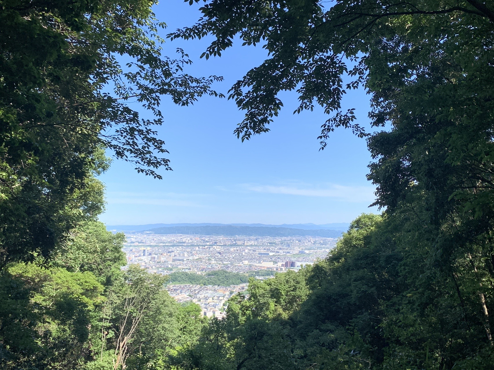 木々の枝葉が額縁のように四方を囲み、その中に大阪平野の眺めが見える