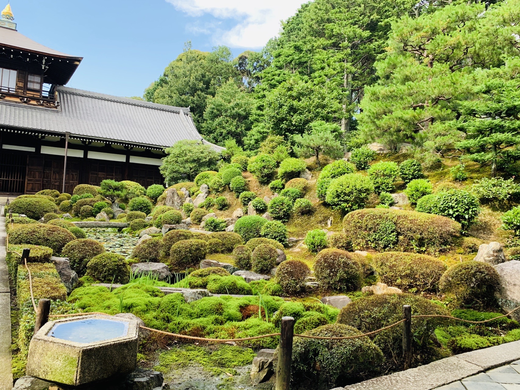 丸く刈り込まれた植栽が段々に並ぶ庭と、奥の建物