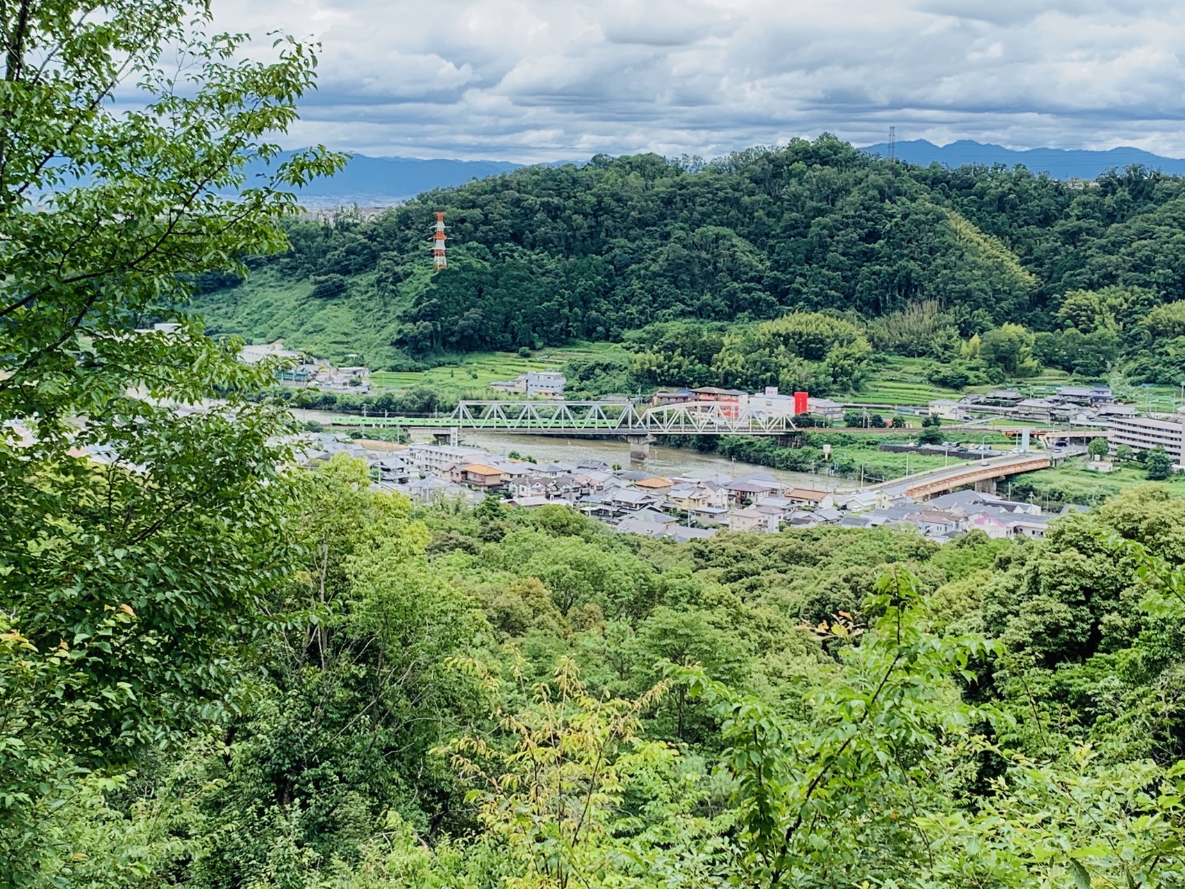 緑の山あいに広がる集落と田畑。その中を大和路線の線路が抜けている