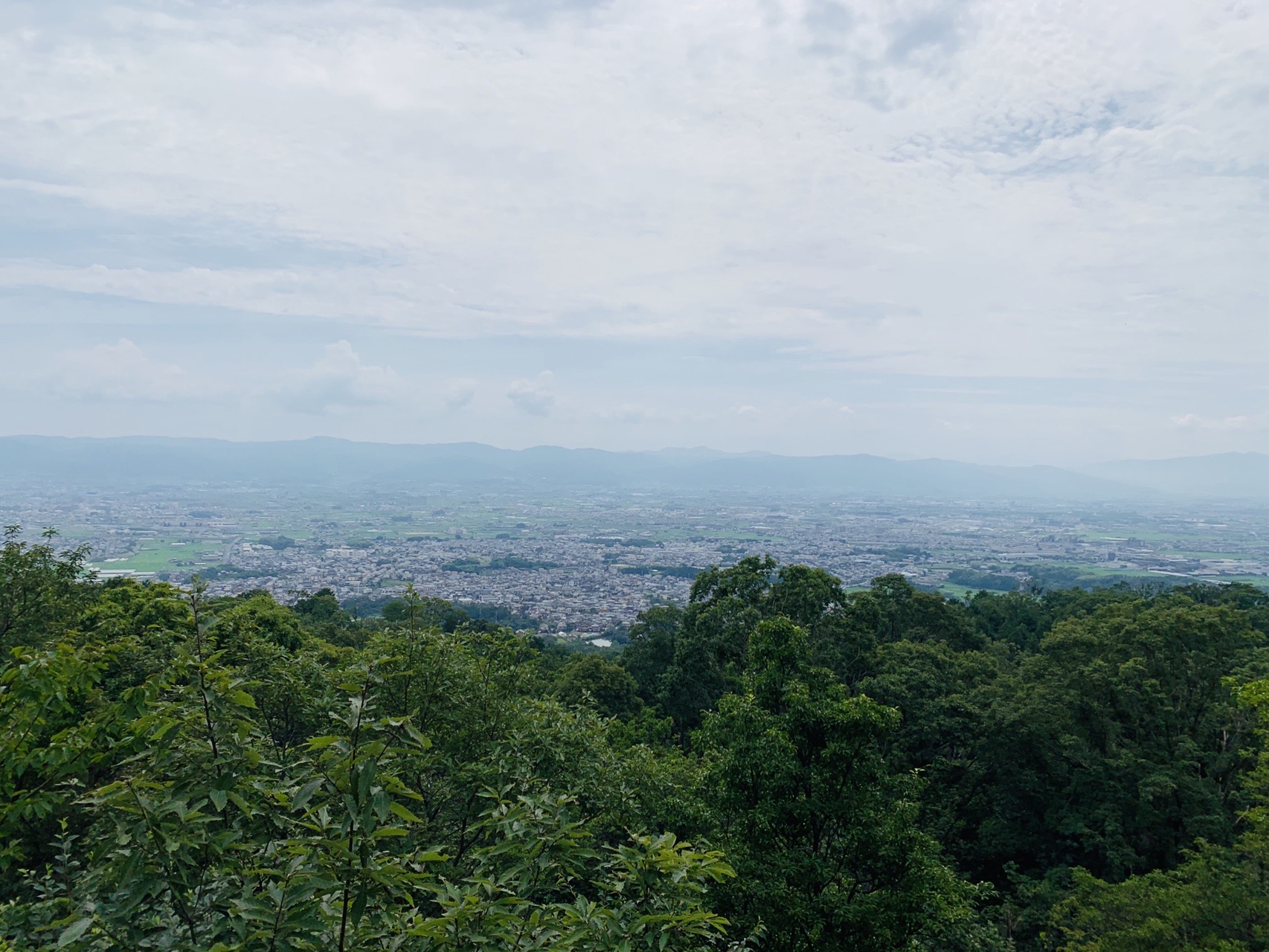 木々の間から見下ろす奈良盆地の街並みと、うっすら曇った空