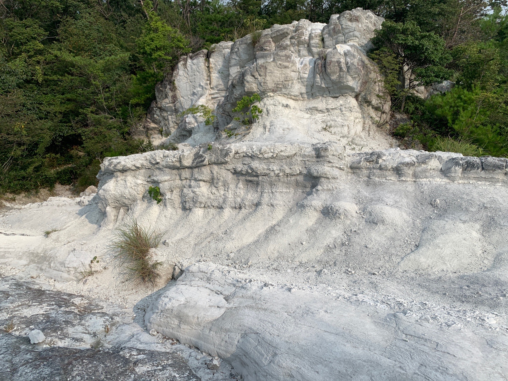 緑の木々に囲まれた中に、真っ白な岩肌が大きく隆起している屯鶴峯の奇景