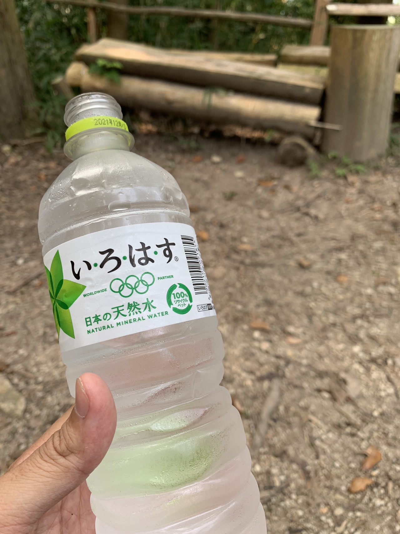 手に持った凍らせたペットボトルの水。半分ほど溶けている