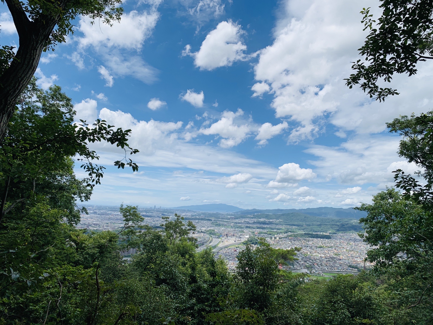 木々の間から見下ろす街並みと、白い雲が浮かぶ真っ青な夏空