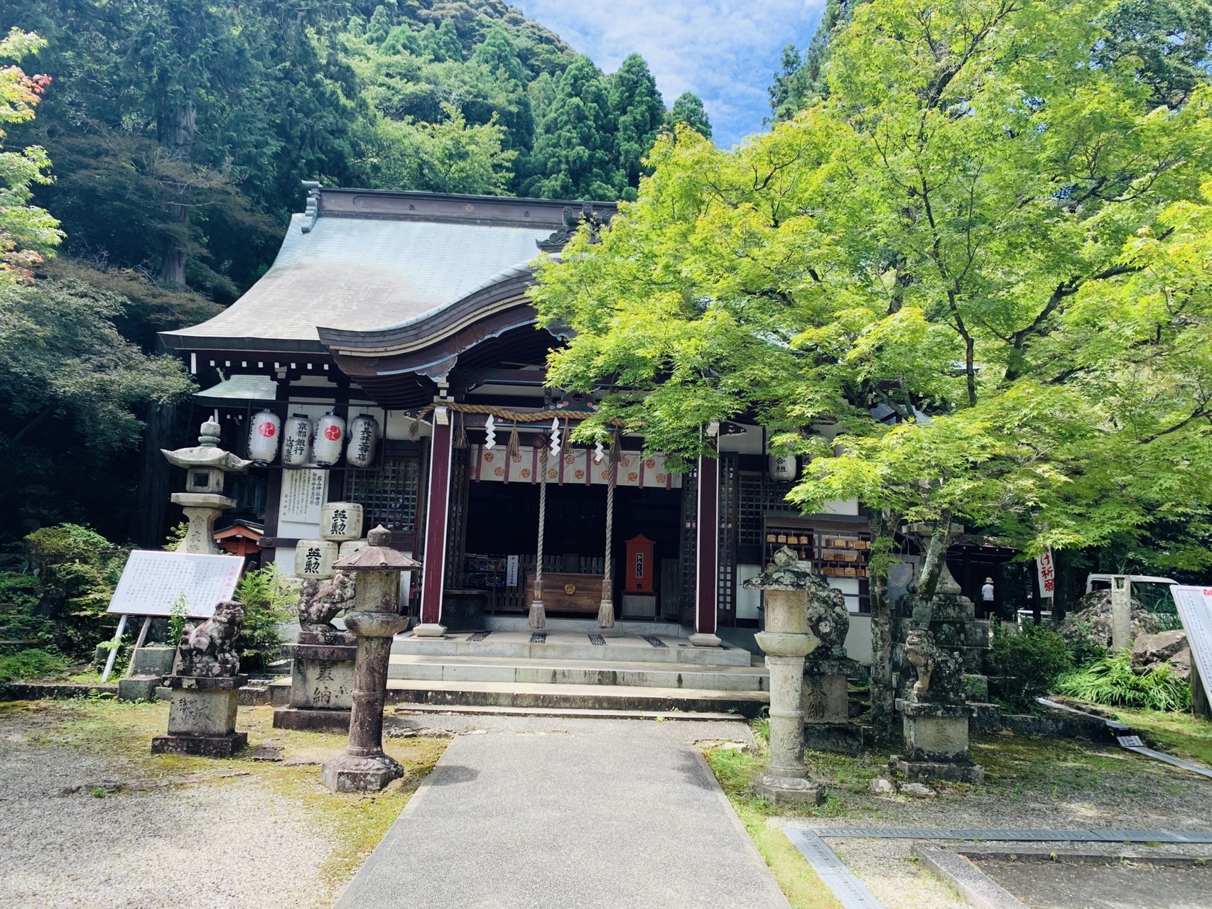 緑の木々に囲まれた若山神社の社殿と、石段の両脇に並ぶ石灯籠
