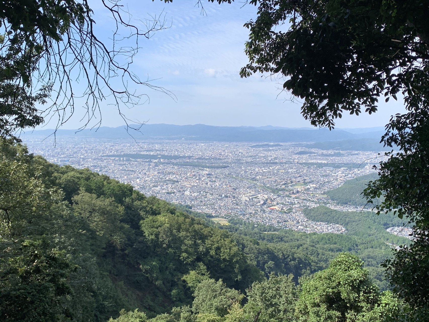 木々の間から見下ろす京都市街地の広がりと青空