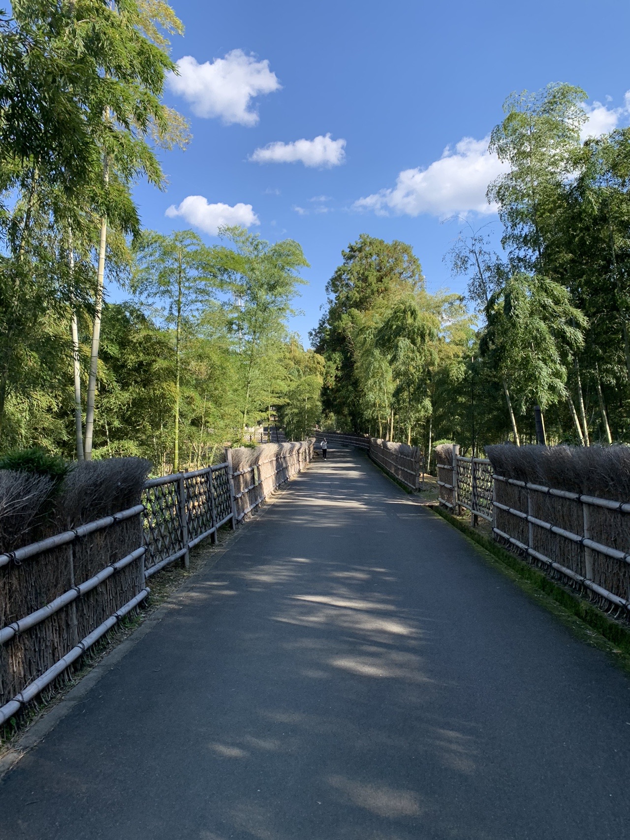 両側を竹垣と竹林にはさまれた舗装された細い道