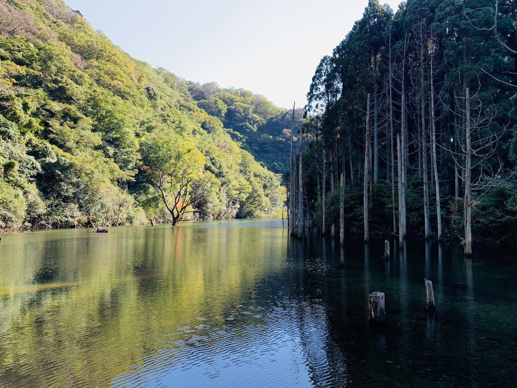 山あいの湖。水面に木の柱が並んで立っている