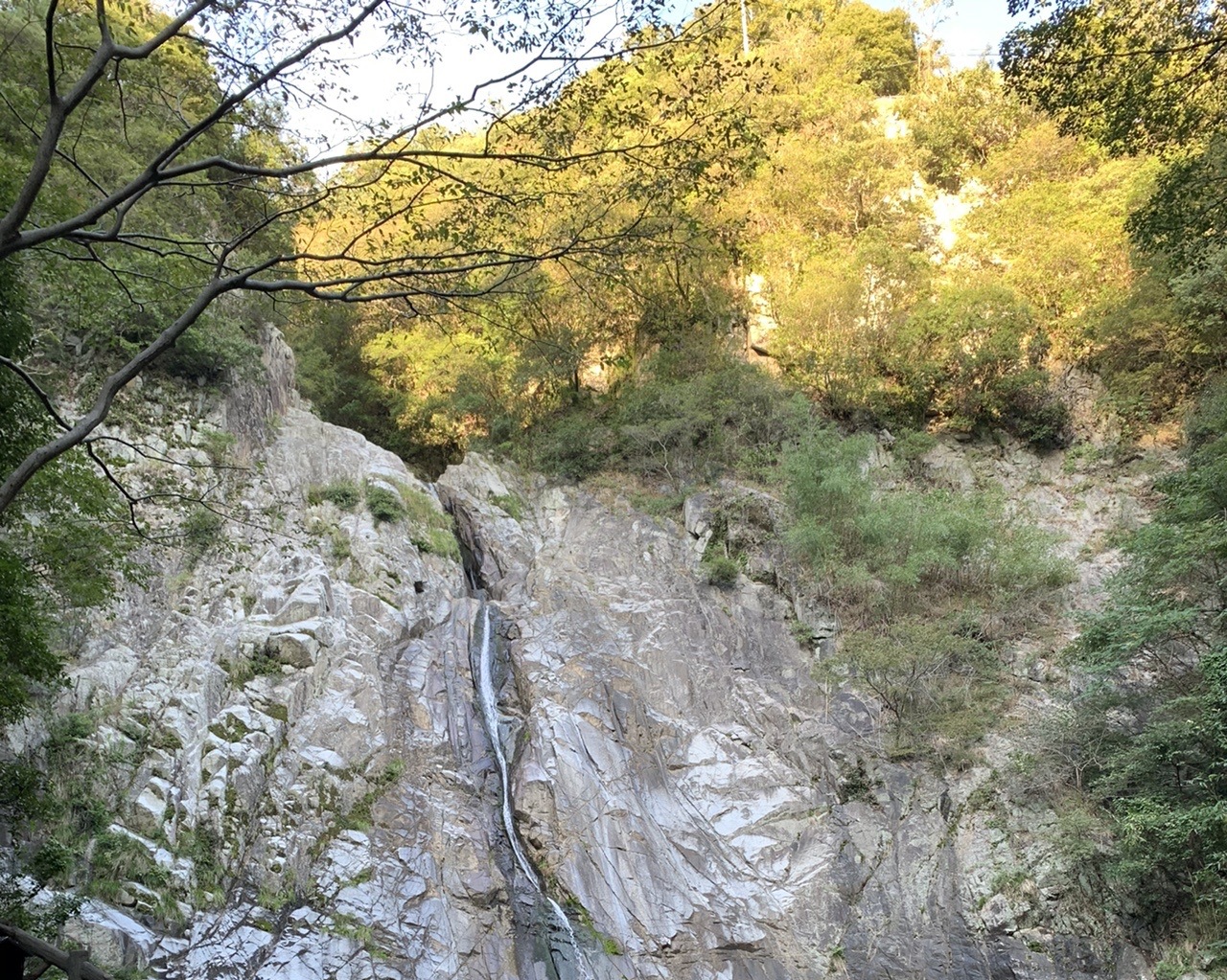 岩壁を細く流れ落ちる布引雄滝