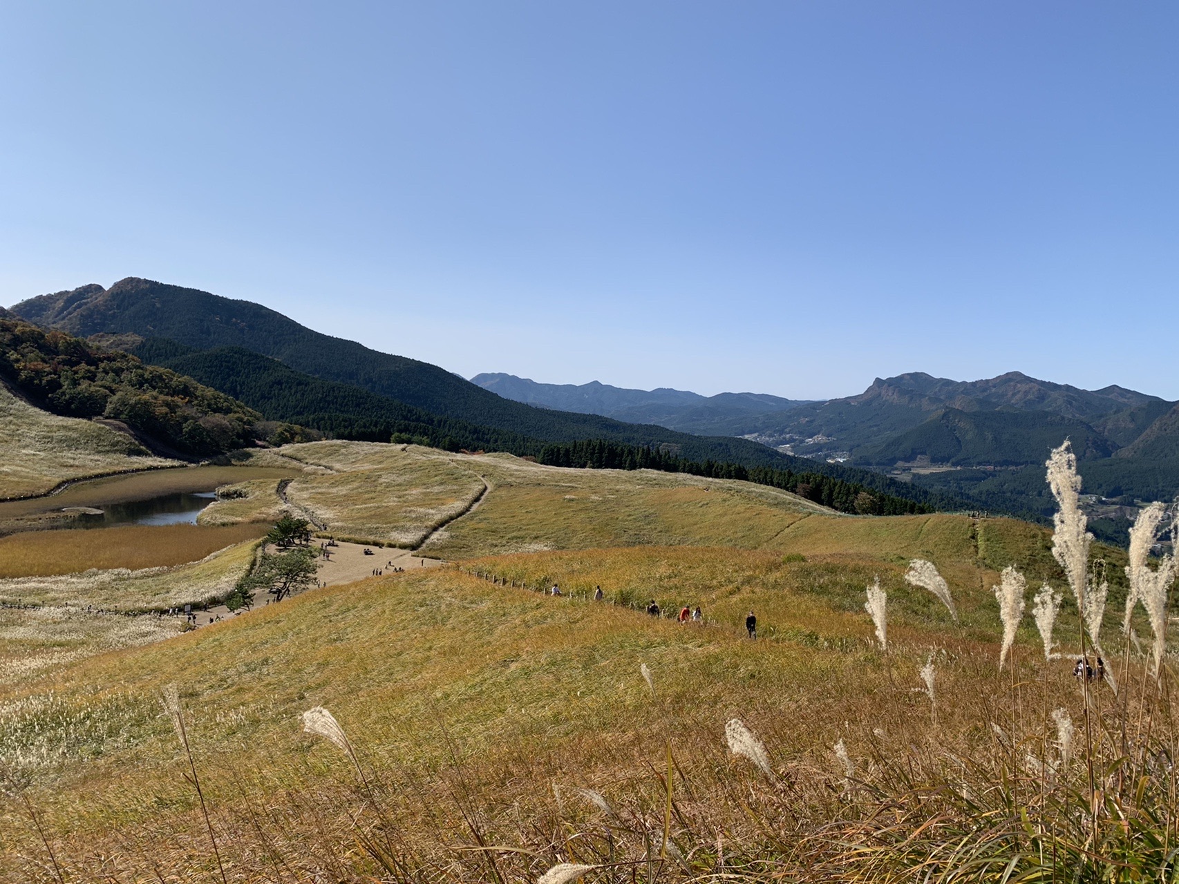 ススキの斜面を登る道と、下に見えるお亀池
