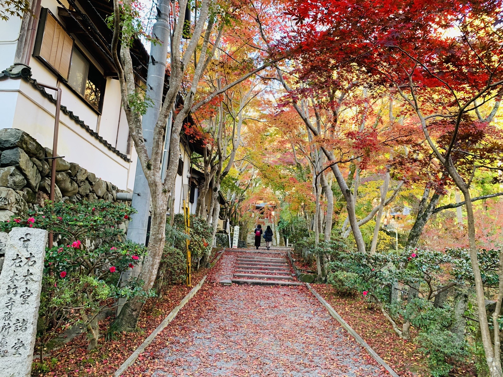 石段の参道に赤い落ち葉が敷き詰められ、頭上は紅葉に覆われている