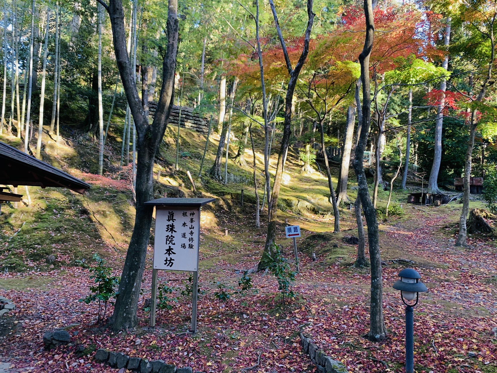 苔むした斜面と木立、「瑞應来坊」と書かれた案内板