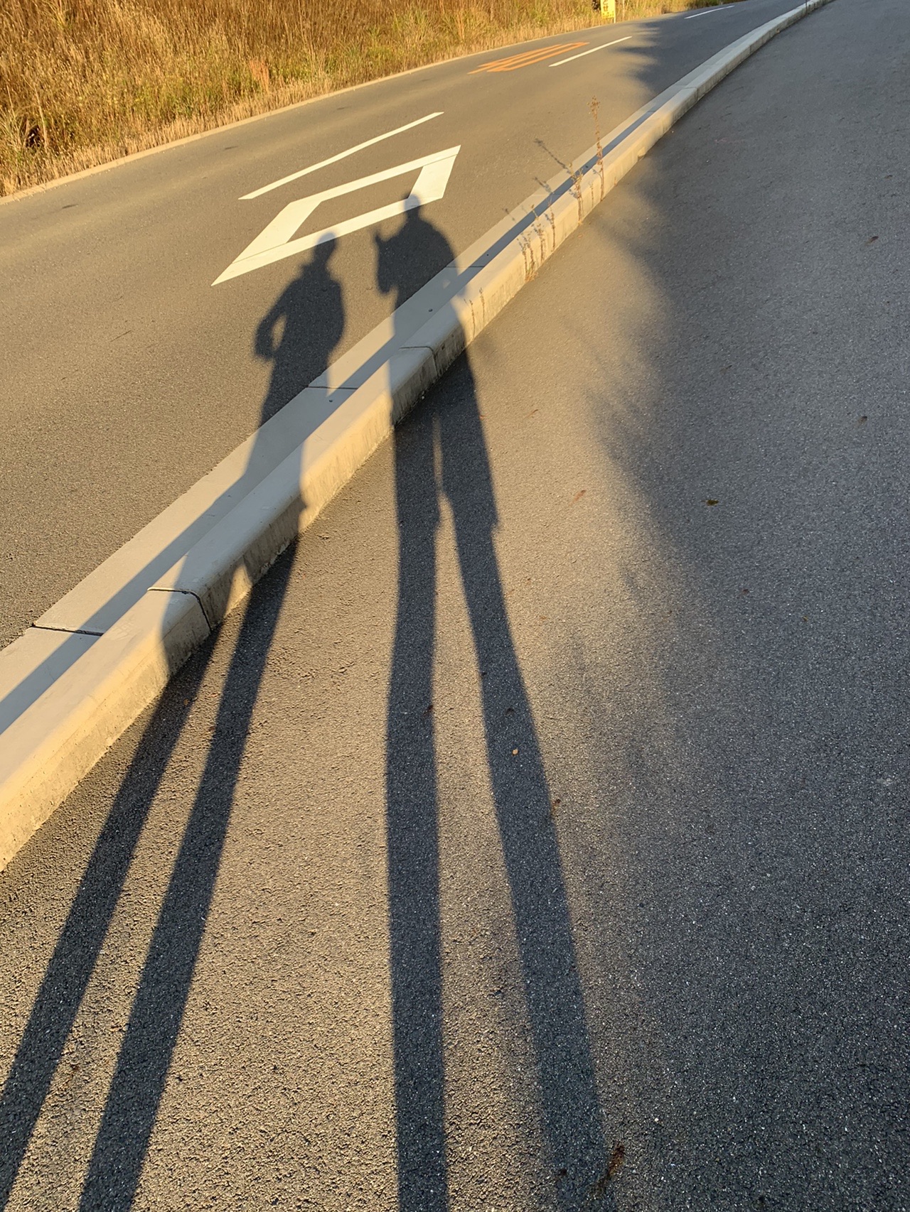 夕方の道路に長く伸びた人の影