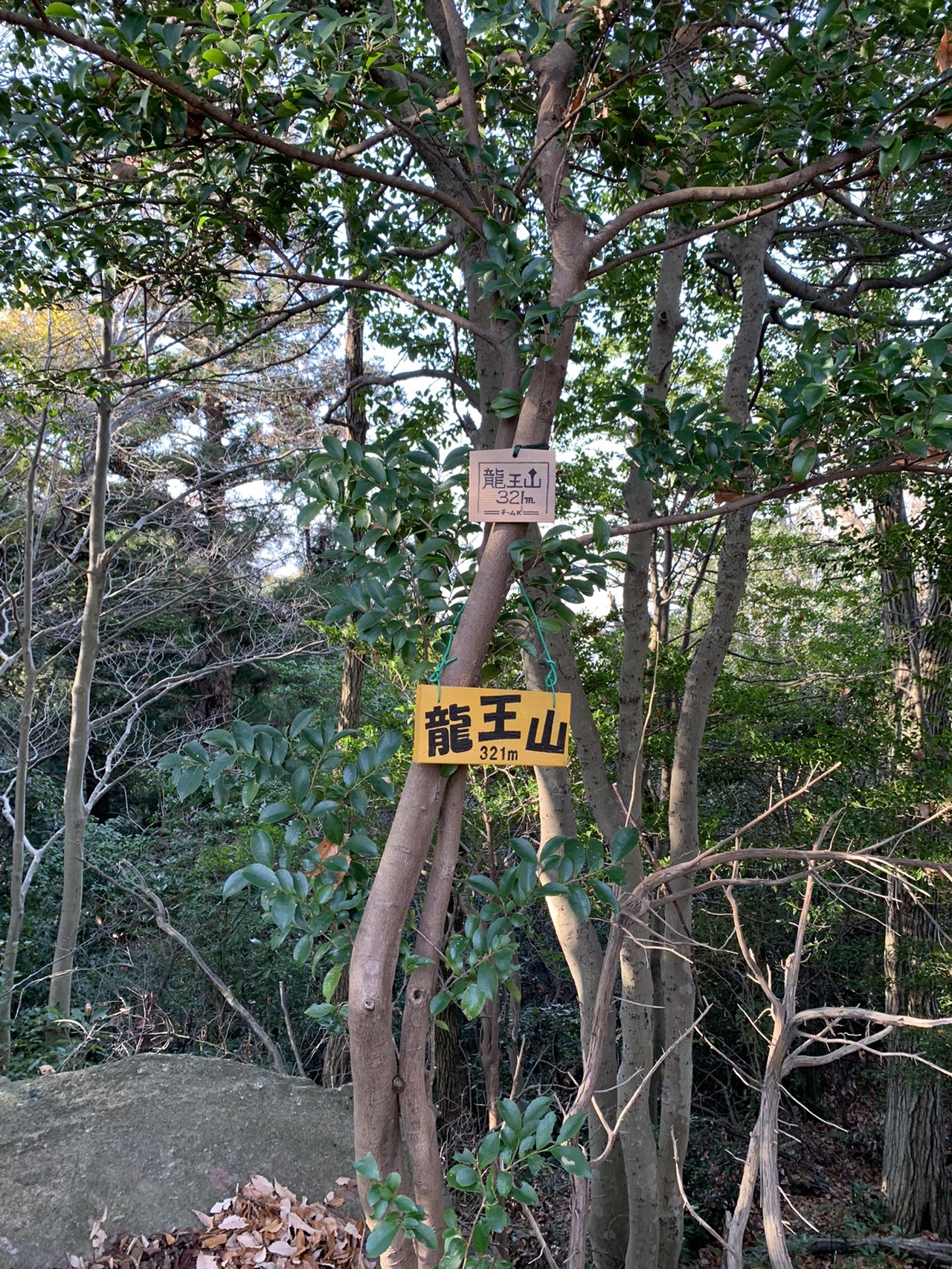 木にくくりつけられた黄色い「龍王山」の看板
