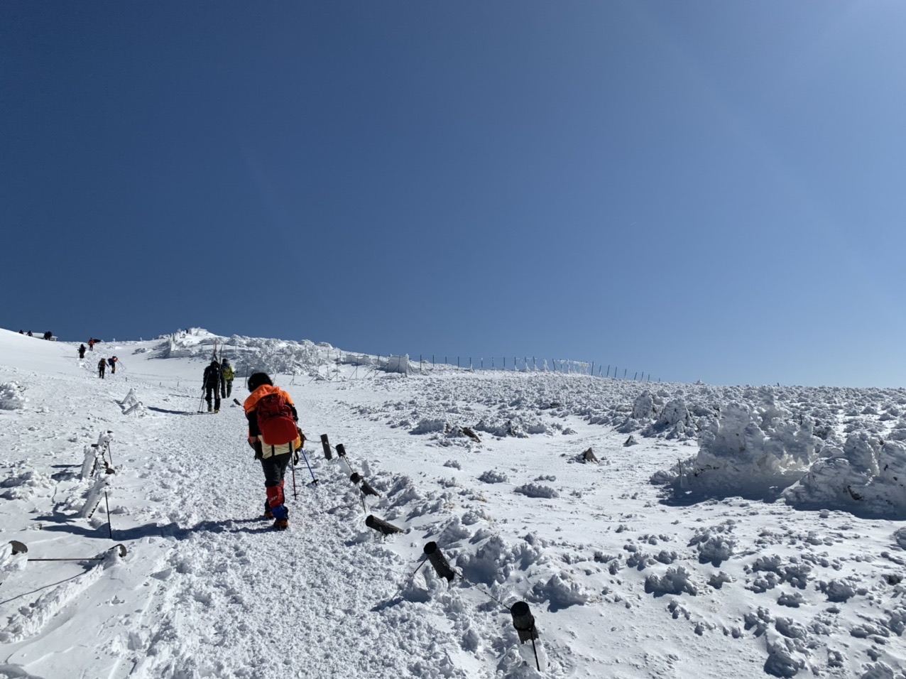 広い雪原を歩く登山者たちと、青い空