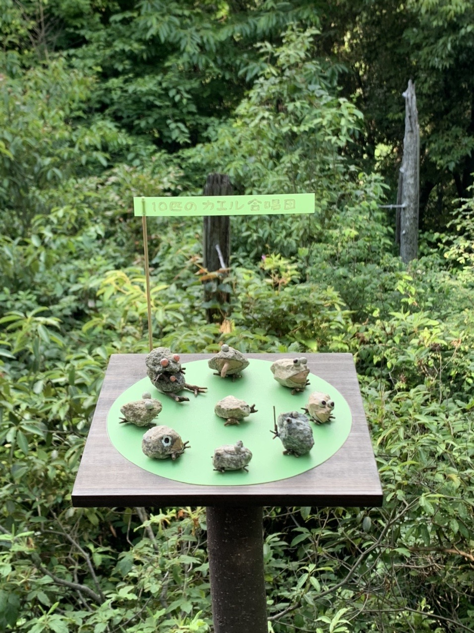 登山道脇の台に並べられた10匹のカエルの置物