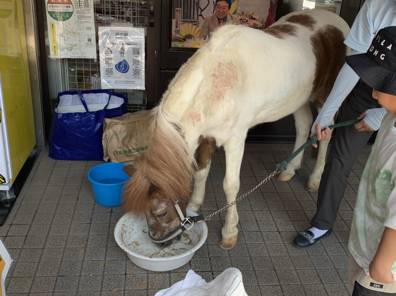 道の駅の建物の前でエサを食べるロバ