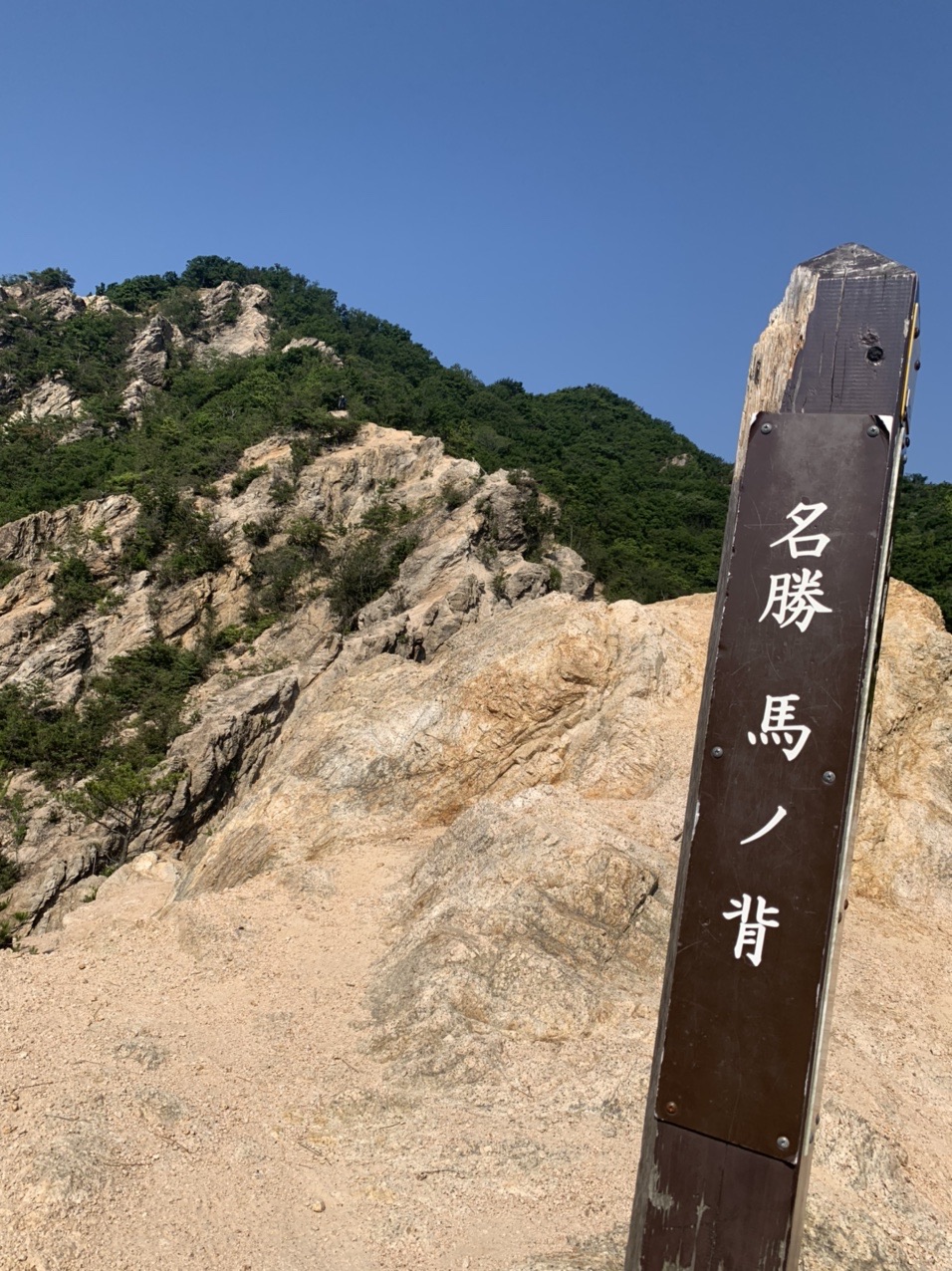 「名勝 馬ノ背」の標柱と、白っぽい岩がむき出しになった痩せ尾根