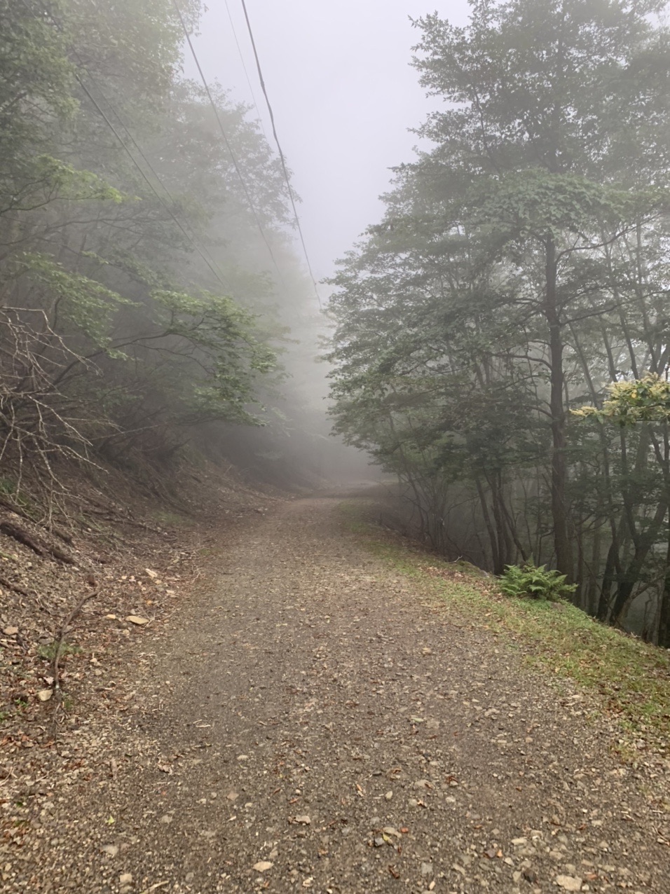 霧のなかを下っていく幅の広い登山道