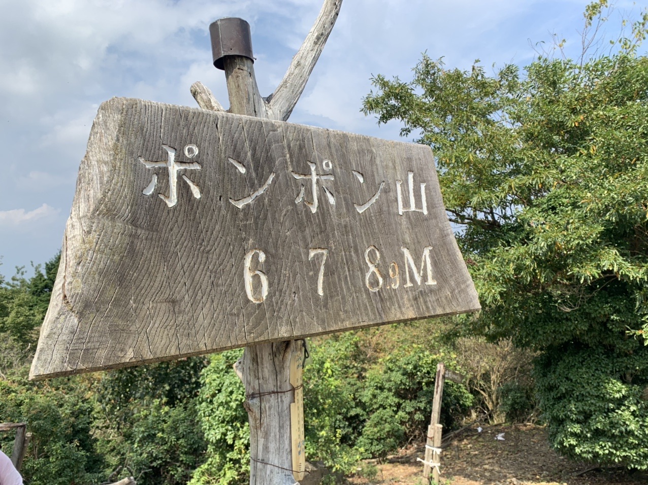 ポンポン山の山頂標識 678M