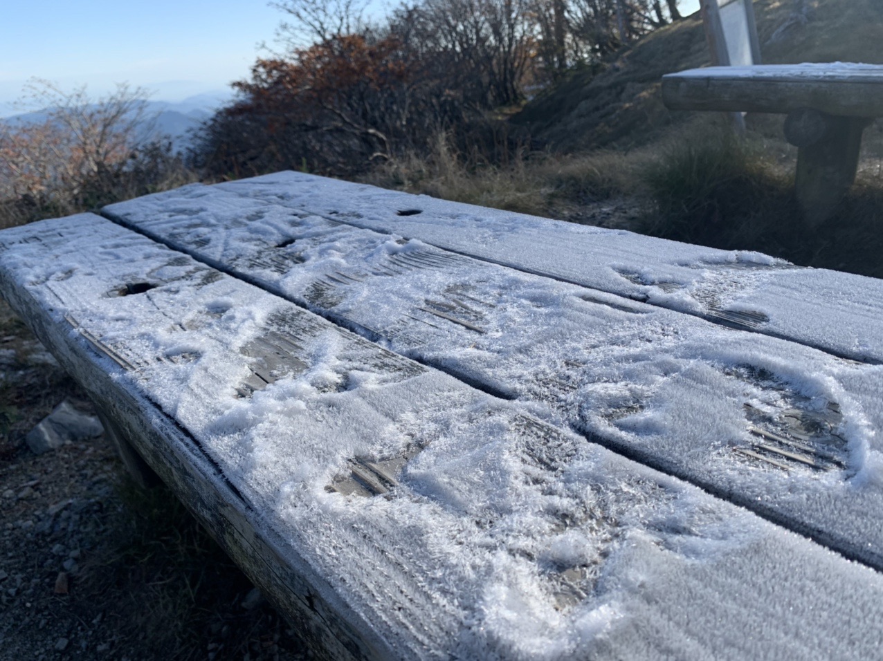 剣山の木道に降りた霜